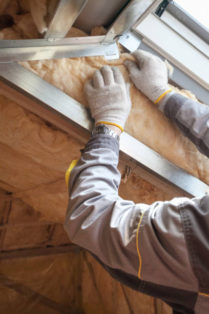 Best Fiberglass Insulation  in Prospect Rk, PA