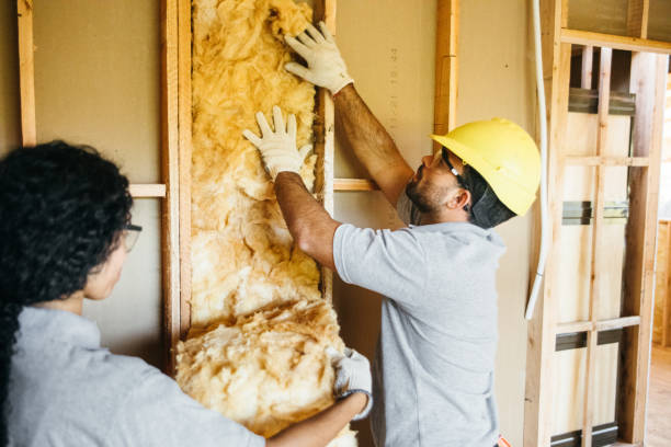 Best Energy-efficient Insulation  in Prospect Rk, PA