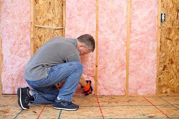 Best Local Insulation Services  in Prospect Rk, PA