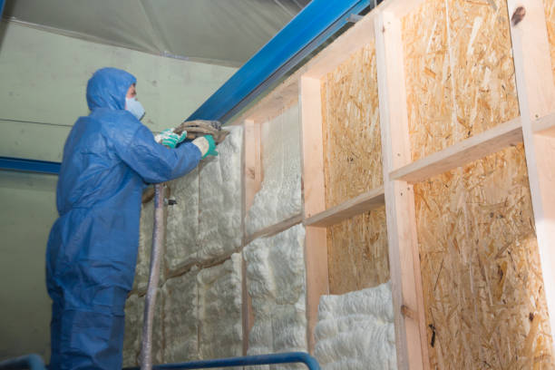 Best Spray Foam Insulation  in Prospect Rk, PA