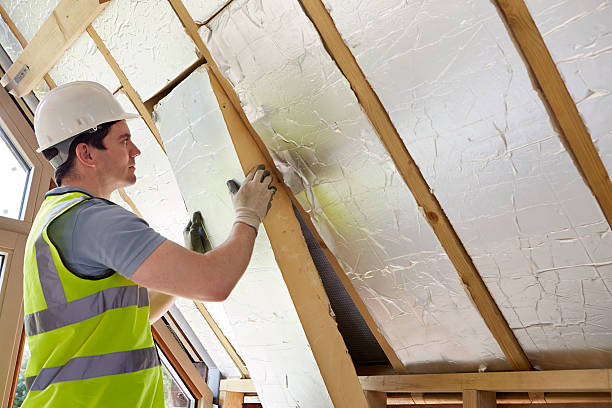 Best Local Insulation Services  in Prospect Rk, PA