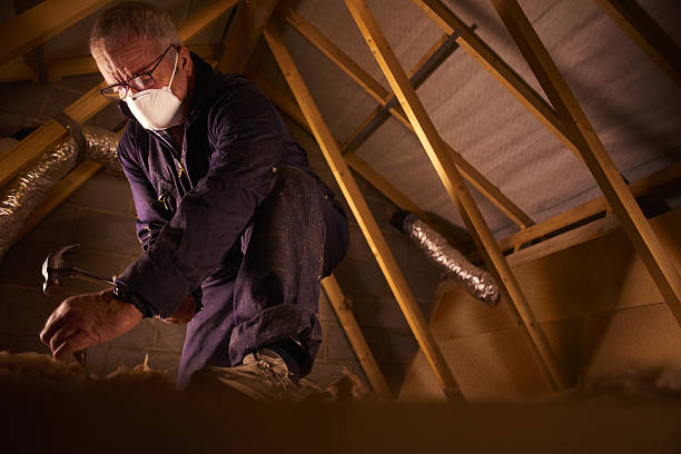 Insulation Contractors for Homes in Prospect Park, PA