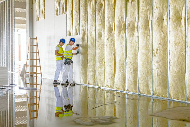 Insulation Repair Services in Prospect Park, PA